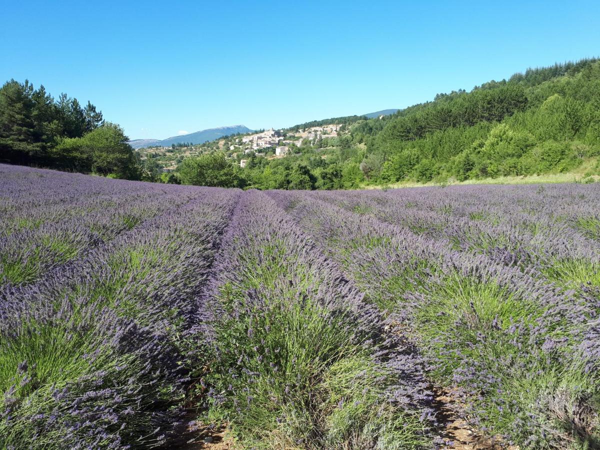 Gite Dentelles Loriol-du-Comtat Exterior foto